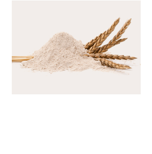 Shopbrot Spezialbrot