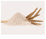 Startshop Spezialbrot